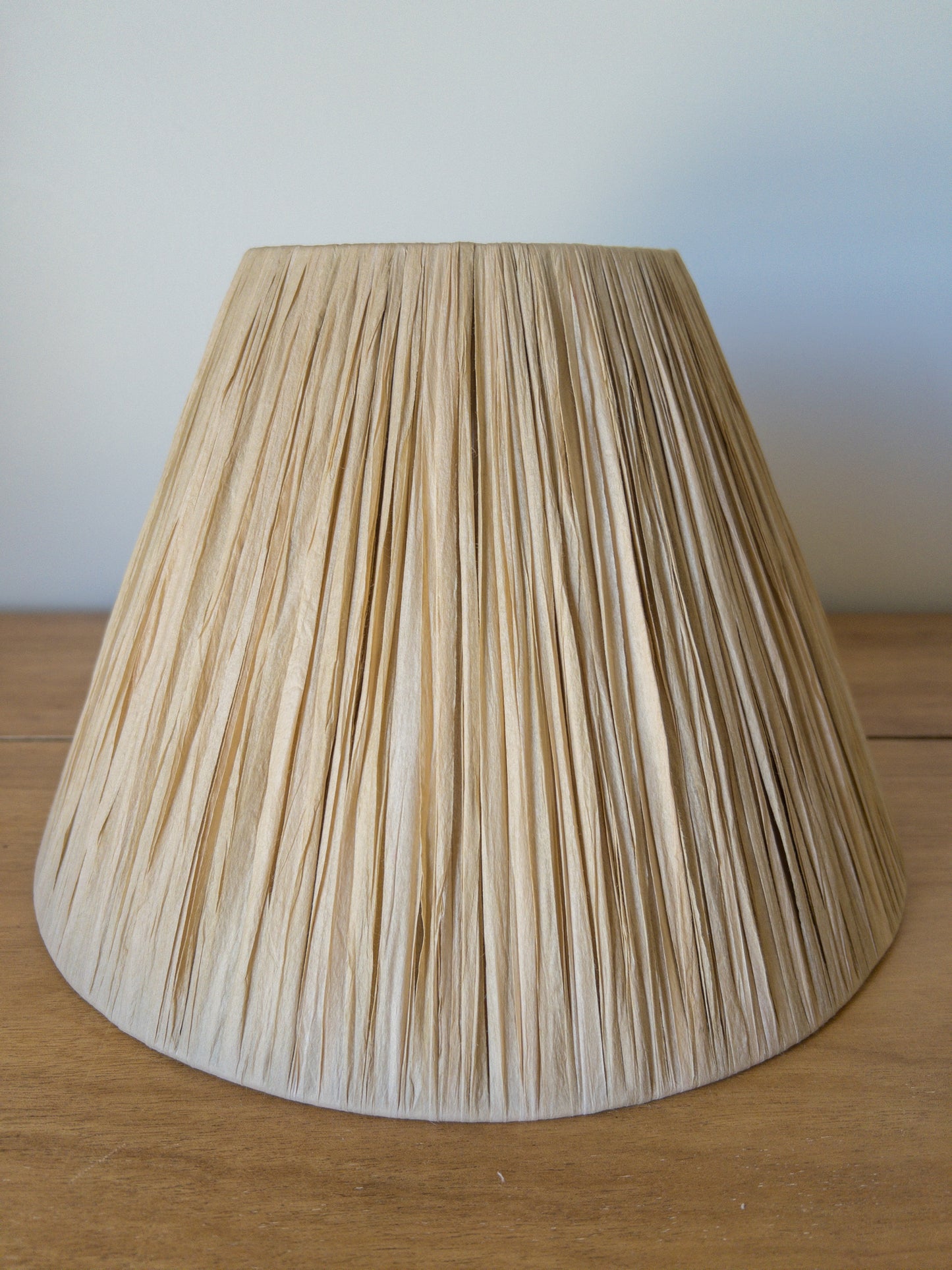 George Raffia Pleated Lampshade